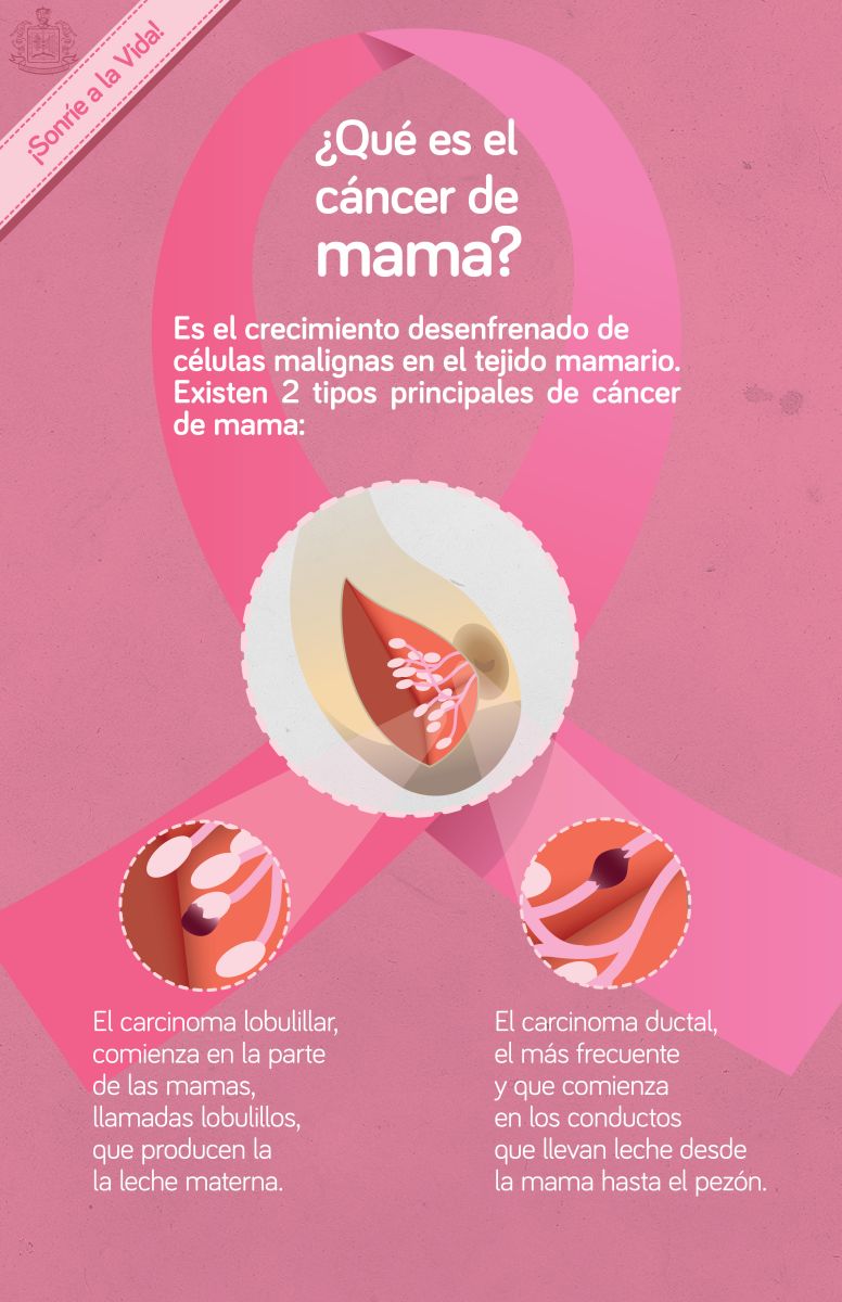 D A Mundial De La Lucha Contra El C Ncer De Mama Infograf A