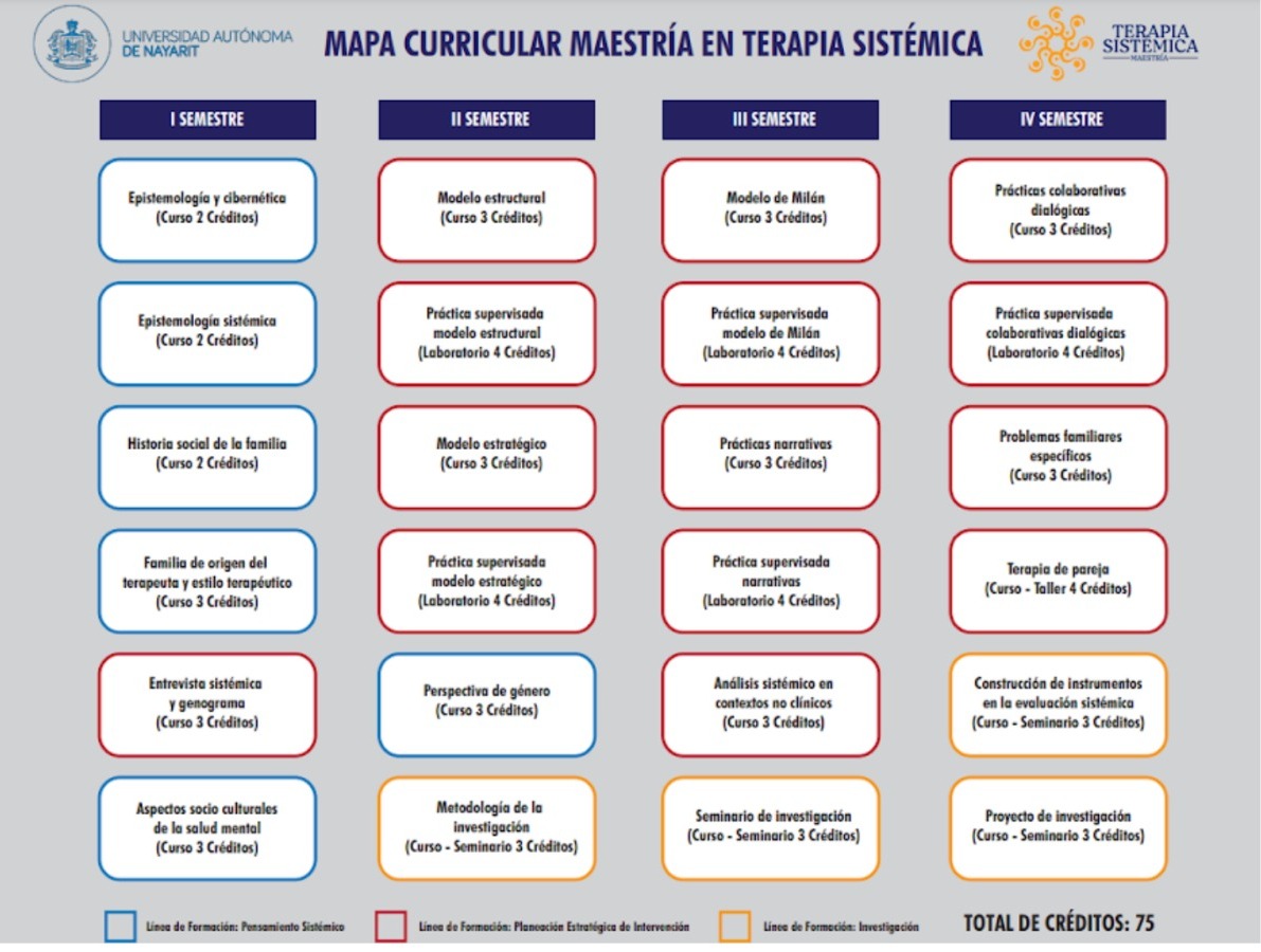mapa_curricular_mts.jpeg